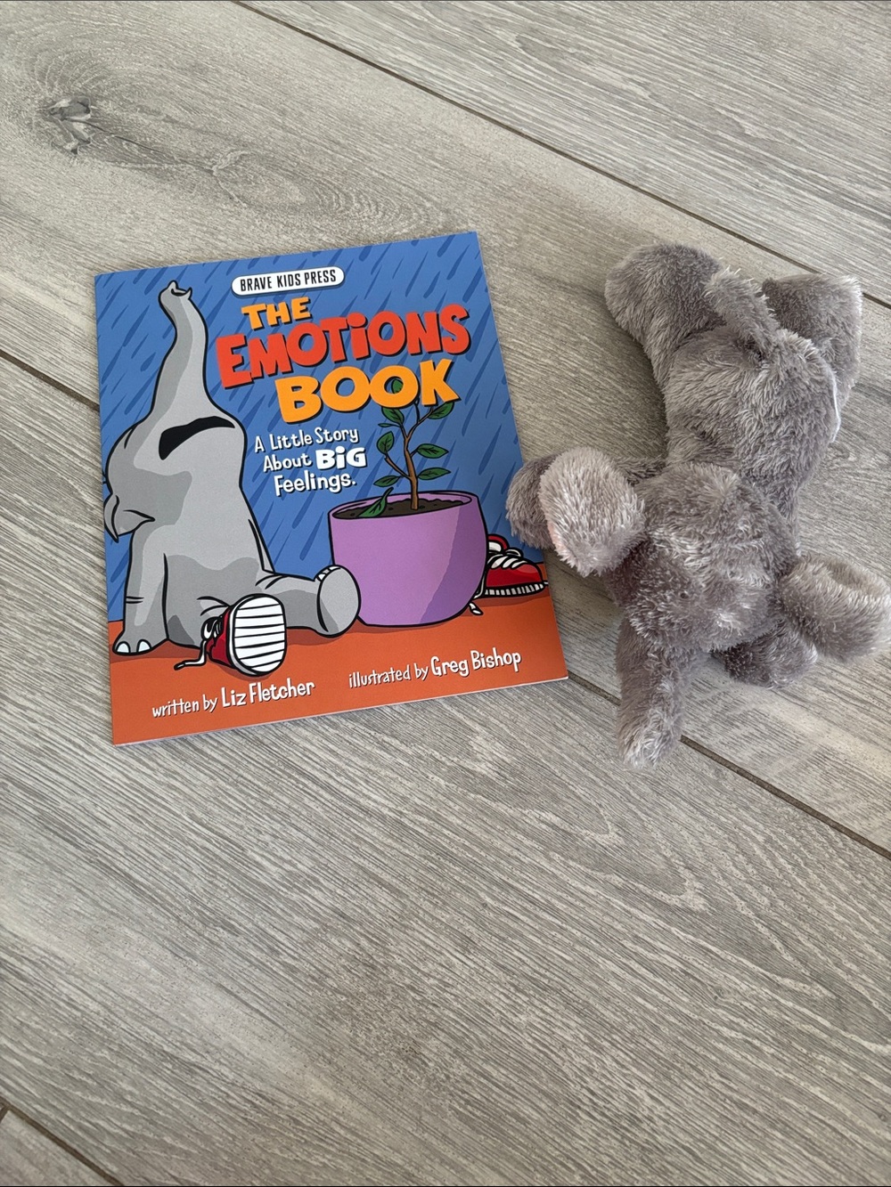 The Emotions Book Toy Bundle 📖